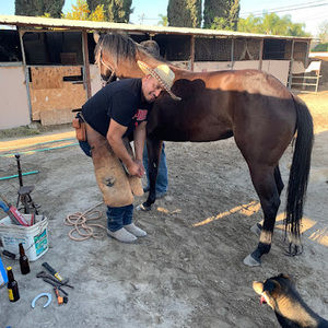 Meet your Posher, Sergio